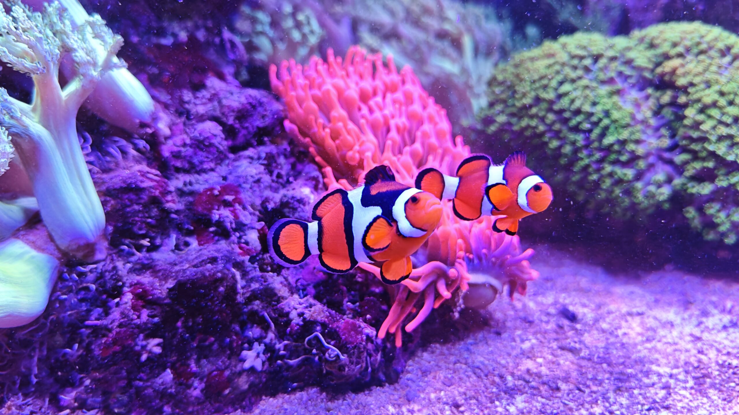 Kontakt MVIMG 20251023 144238 Scaled